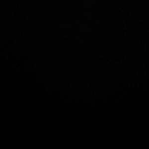 Meet your Posher, Noelle